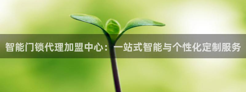 开丰娱乐地址查询：智能门锁代理加盟中心：一站式智能与个性化定