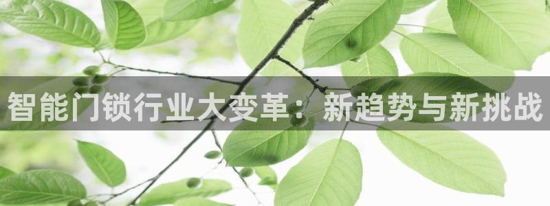 开丰娱乐予 7O935：智能门锁行业大变革：新趋势与新挑战