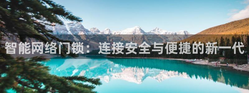 开丰娱乐登入地址：智能网络门锁：连接安全与便捷的新一代
