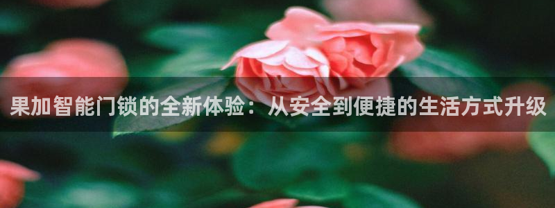 开丰娱乐前：果加智能门锁的全新体验：从安全到便捷的生活方式升