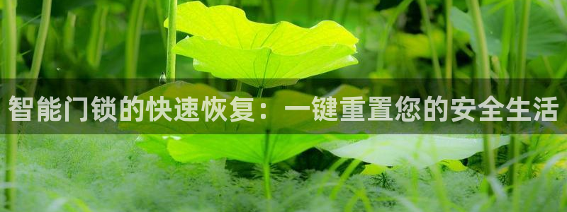 开丰娱乐官网招聘：智能门锁的快速恢复：一键重置您的安全生活
