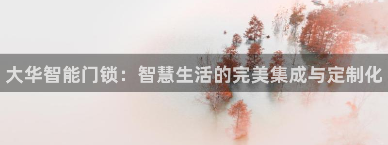 开丰娱乐网站官网首页：大华智能门锁：智慧生活的完美集成与定制