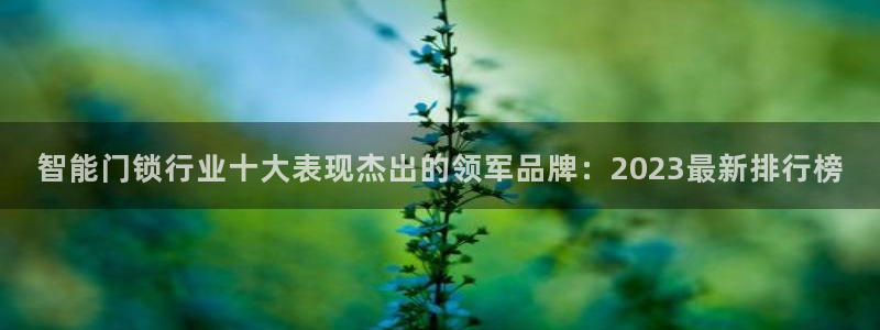 开丰娱乐2登录：智能门锁行业十大表现杰出的领军品牌：2023