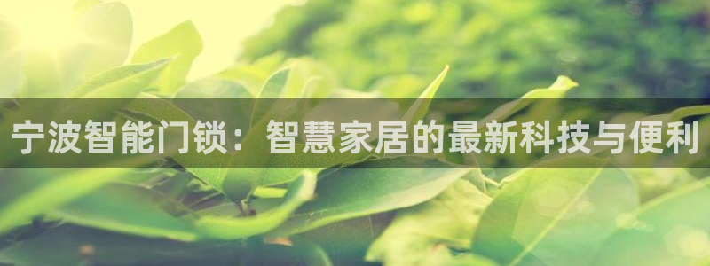 开丰娱乐天7O667：宁波智能门锁：智慧家居的最新科技与便利