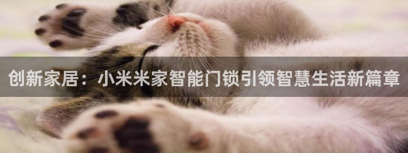 开丰娱乐联系q徽22212：创新家居：小米米家智能门锁引领智