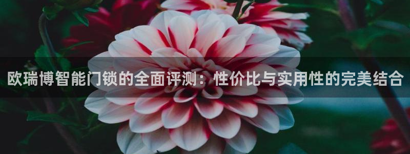 开丰娱乐注册电7O777：欧瑞博智能门锁的全面评测：性价比与