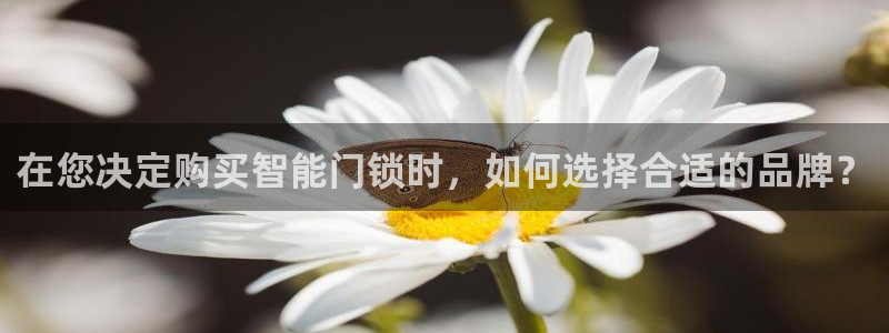 开丰娱乐手机app：在您决定购买智能门锁时，如何选择合适的品