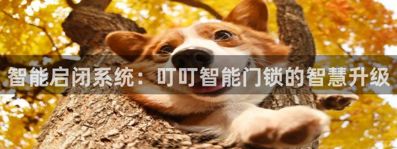 开丰娱乐月：智能启闭系统：叮叮智能门锁的智慧升级