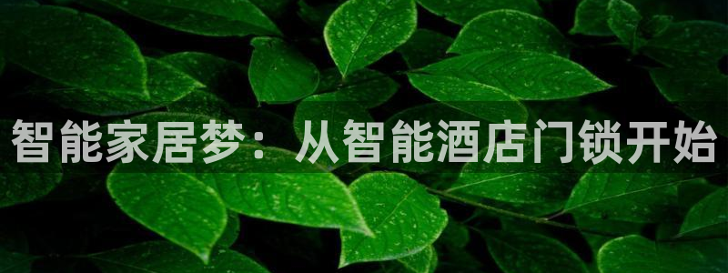 开丰娱乐月7O667：智能家居梦：从智能酒店门锁开始
