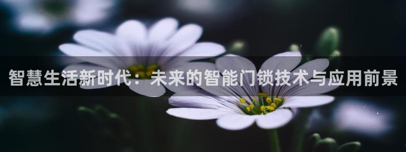 开丰娱乐注册自判官333OO：智慧生活新时代：未来的智能门锁