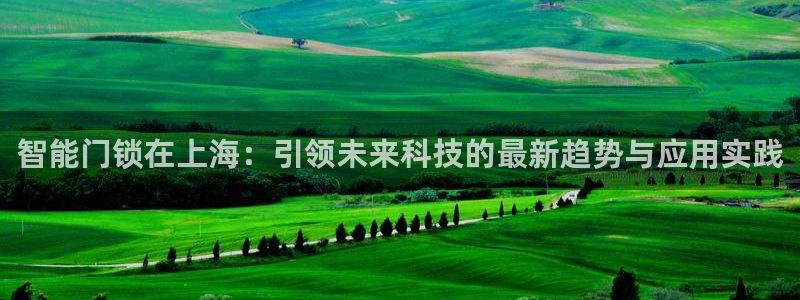 开丰娱乐登录网址：智能门锁在上海：引领未来科技的最新趋势与应