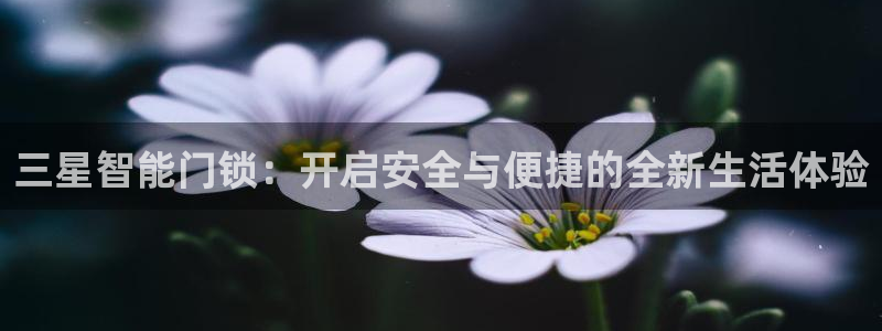 开丰娱乐网站官网首页：三星智能门锁：开启安全与便捷的全新生活