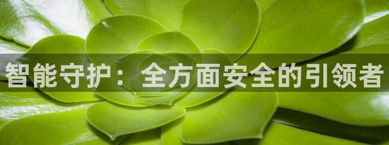 开丰娱乐左：智能守护：全方面安全的引领者