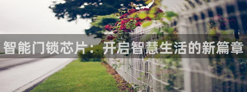 开丰娱乐开户：智能门锁芯片：开启智慧生活的新篇章