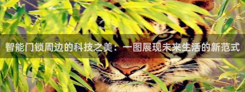 开丰娱乐上：智能门锁周边的科技之美：一图展现未来生活的新范式