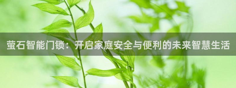 开丰娱乐登入地址在哪：萤石智能门锁：开启家庭安全与便利的未来