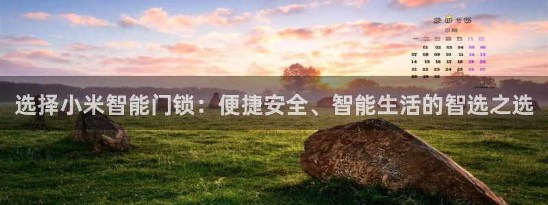 开丰娱乐前：选择小米智能门锁：便捷安全、智能生活的智选之选