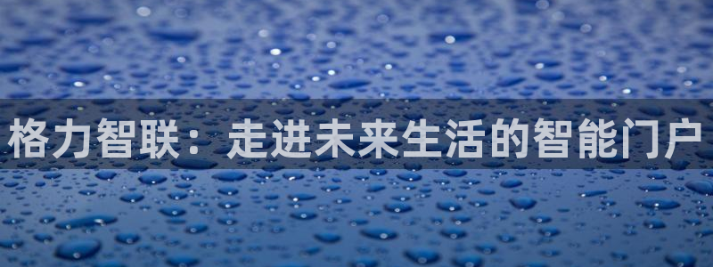 开丰娱乐予 7O935：格力智联：走进未来生活的智能门户