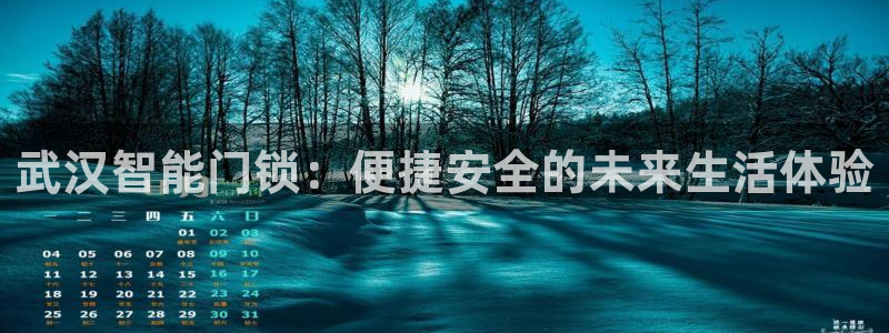 开丰娱乐网站：武汉智能门锁：便捷安全的未来生活体验