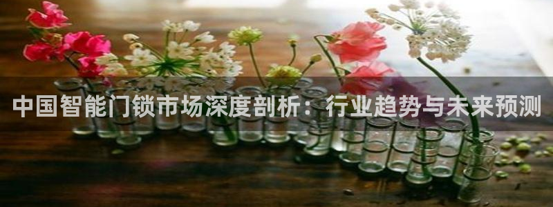 开丰娱乐后：中国智能门锁市场深度剖析：行业趋势与未来预测