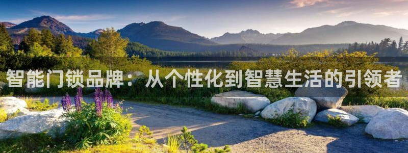 开丰娱乐姜333OO：智能门锁品牌：从个性化到智慧生活的引领