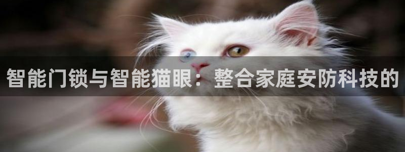 开丰娱乐平台提现失败：智能门锁与智能猫眼：整合家庭安防科技的