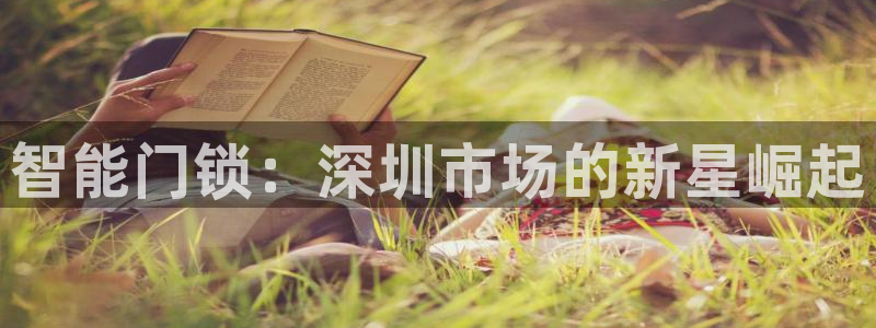 开丰娱乐靠谱吗：智能门锁：深圳市场的新星崛起