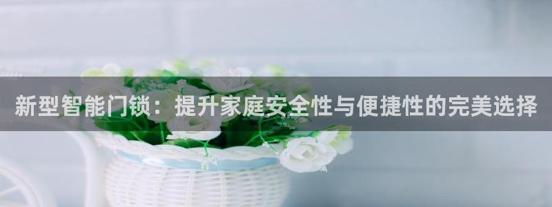 开丰娱乐测速：新型智能门锁：提升家庭安全性与便捷性的完美选择