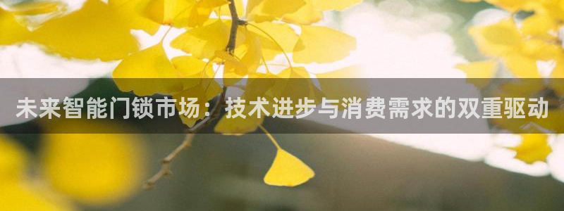 开丰娱乐新登录平台：未来智能门锁市场：技术进步与消费需求的双