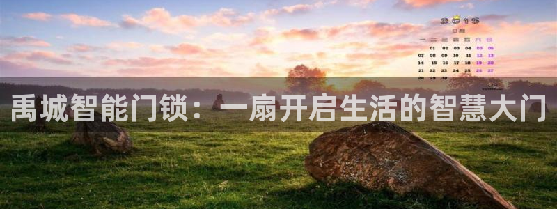 开丰娱乐天7O667：禹城智能门锁：一扇开启生活的智慧大门