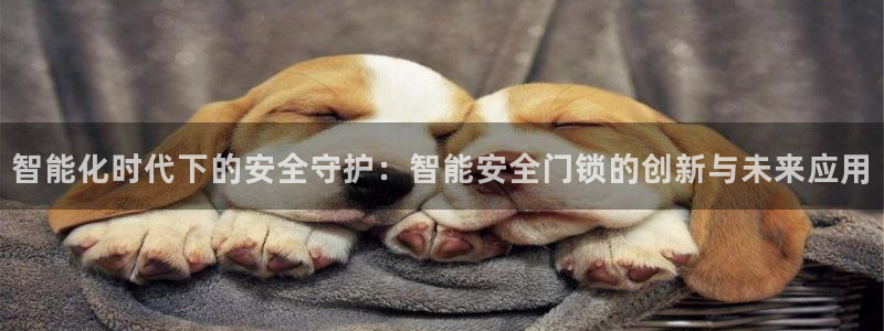 开丰娱乐下载安装：智能化时代下的安全守护：智能安全门锁的创新