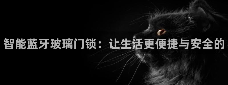 开丰娱乐平台注册：智能蓝牙玻璃门锁：让生活更便捷与安全的
