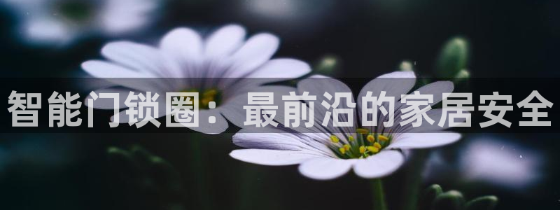 开丰娱乐若七九九：智能门锁圈：最前沿的家居安全