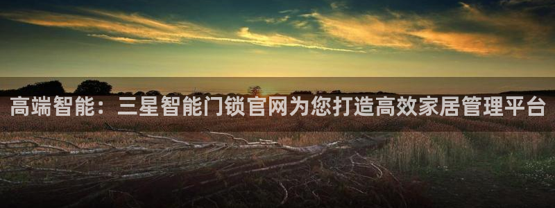 开丰娱乐注册资金多少：高端智能：三星智能门锁官网为您打造高效