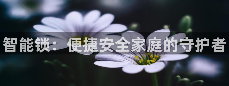 开丰娱乐巾67五壹叁八：智能锁：便捷安全家庭的守护者