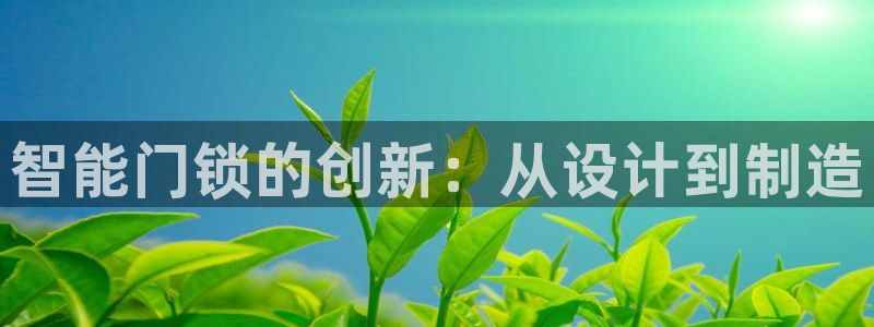 开丰娱乐科技：智能门锁的创新：从设计到制造