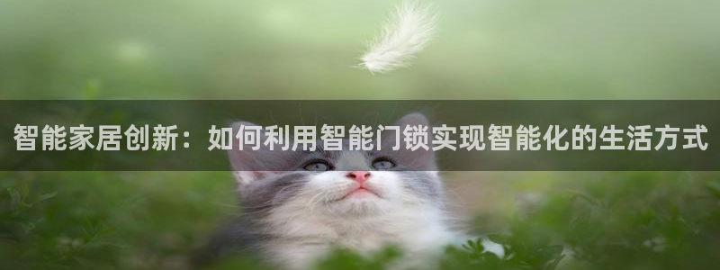 开丰娱乐予 7O935：智能家居创新：如何利用智能门锁实现智