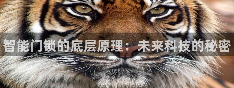 开丰娱乐平台地址在哪里：智能门锁的底层原理：未来科技的秘密