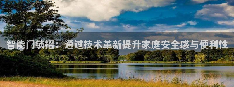 开丰娱乐不开了吗：智能门锁招：通过技术革新提升家庭安全感与便