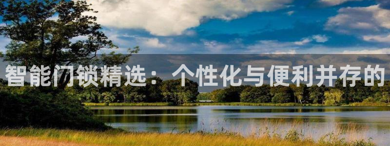 开丰娱乐注册系究耍333OO：智能门锁精选：个性化与便利并存
