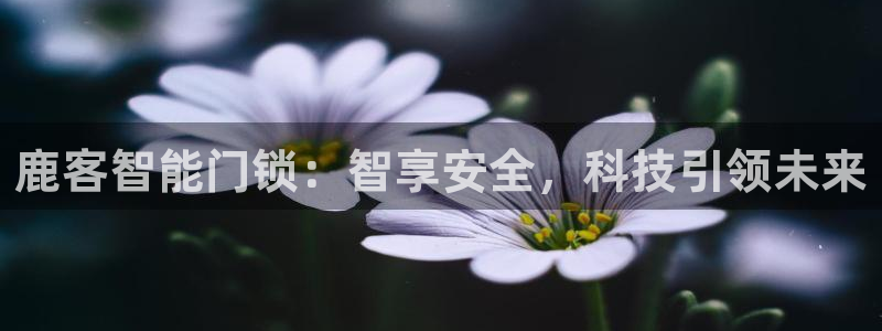 开丰娱乐官网：鹿客智能门锁：智享安全，科技引领未来
