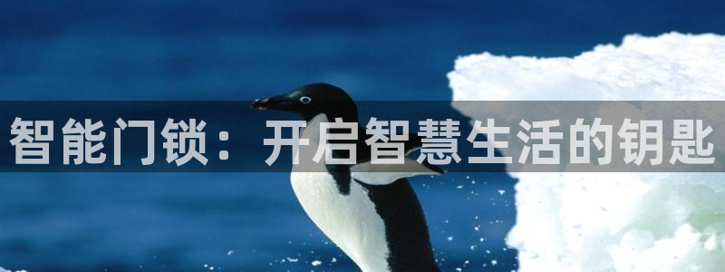 开丰娱乐登入地址在哪：智能门锁：开启智慧生活的钥匙