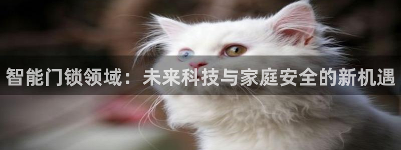 开丰娱乐网站：智能门锁领域：未来科技与家庭安全的新机遇