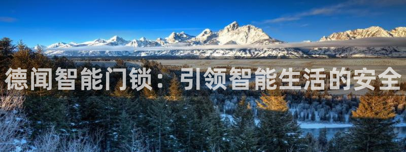 开丰娱乐平台：德闻智能门锁：引领智能生活的安全