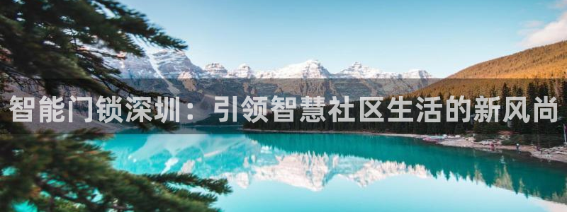 开丰娱乐注册登录不了：智能门锁深圳：引领智慧社区生活的新风尚