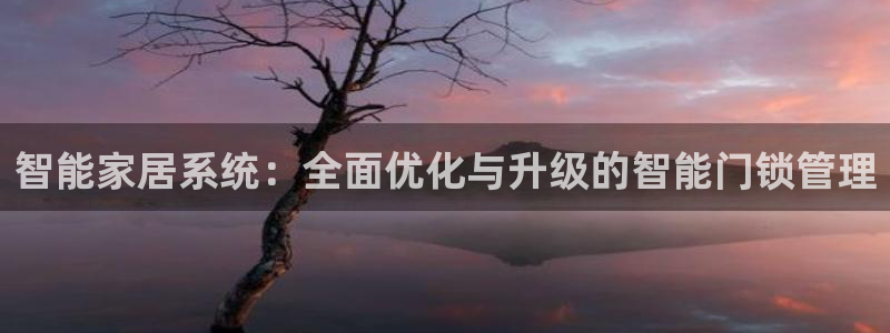 开丰娱乐官网登录网址：智能家居系统：全面优化与升级的智能门锁
