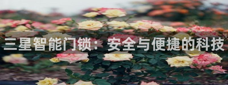 开丰娱乐平台：三星智能门锁：安全与便捷的科技