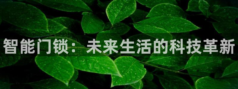 开丰娱乐平台地址电话：智能门锁：未来生活的科技革新