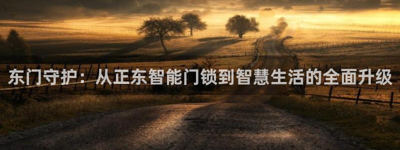 开丰娱乐登入地址查询：东门守护：从正东智能门锁到智慧生活的全