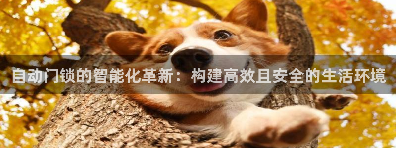 开丰娱乐登录地址入口：自动门锁的智能化革新：构建高效且安全的